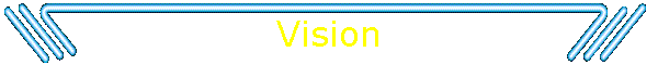 Vision